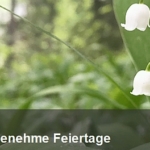 Frohe Pfingsten